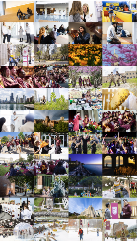 Screenshot 2025-11-24 at 12.51.56 PM